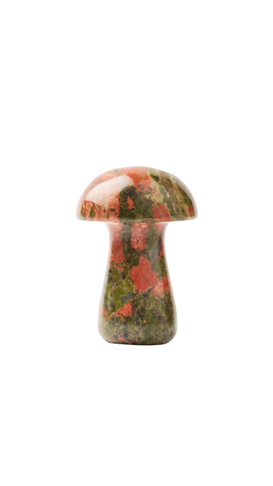Herbar Gua Shroom L Unakite