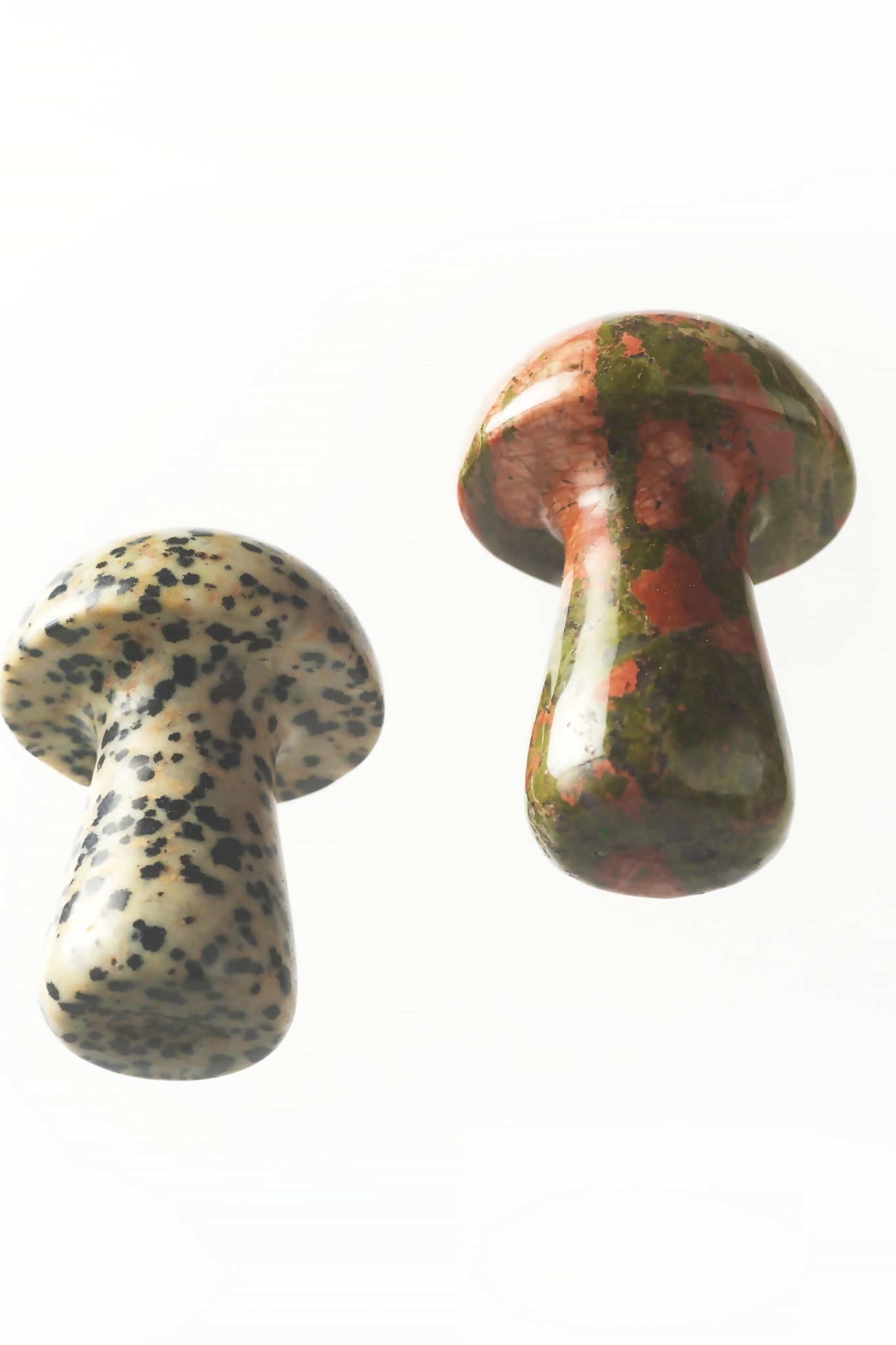 Herbar Gua Shroom L Unakite